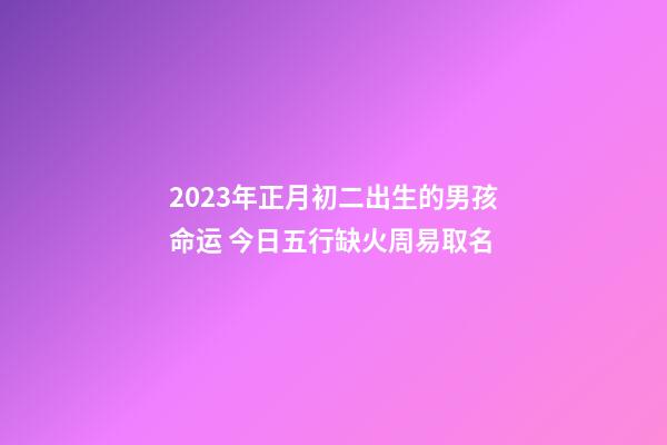 2023年正月初二出生的男孩命运 今日五行缺火周易取名
